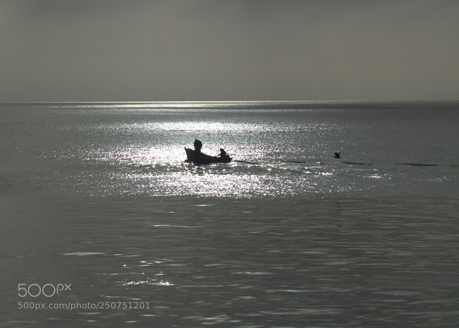 Nikon D7000 sample photo. Reflections photography