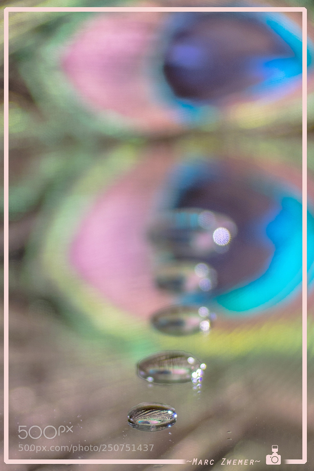 Sony ILCA-77M2 sample photo. ~ caught colors ~ photography