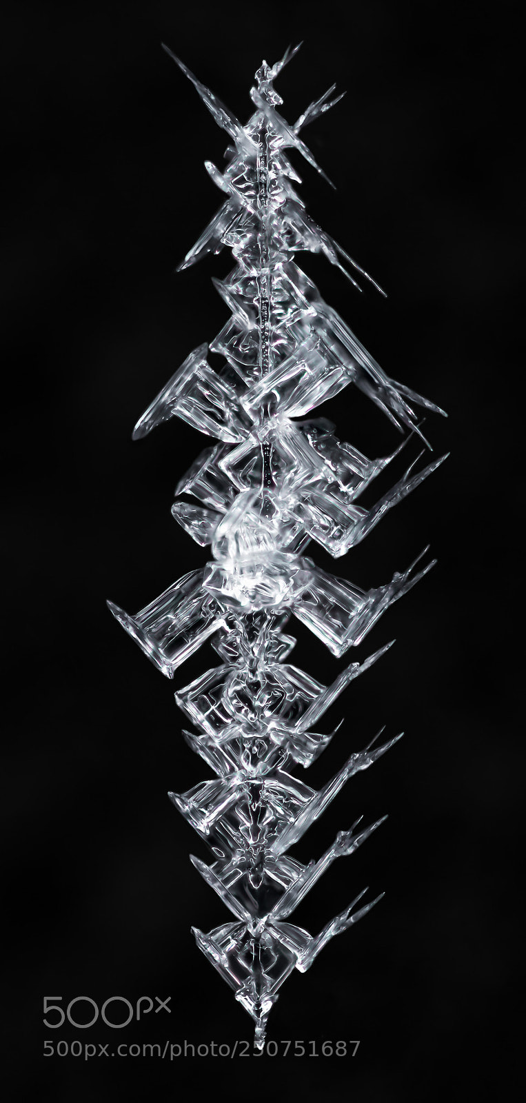 Canon EOS-1D X Mark II sample photo. Snowflake-a-day no. 70 photography