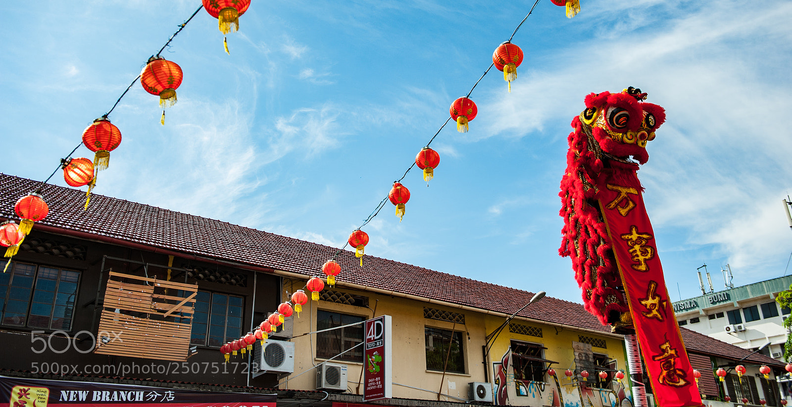 Nikon D700 sample photo. Jumping dragon photography
