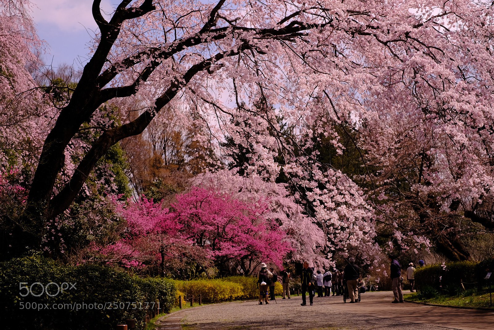 Fujifilm X-T20 sample photo. Untitled photography