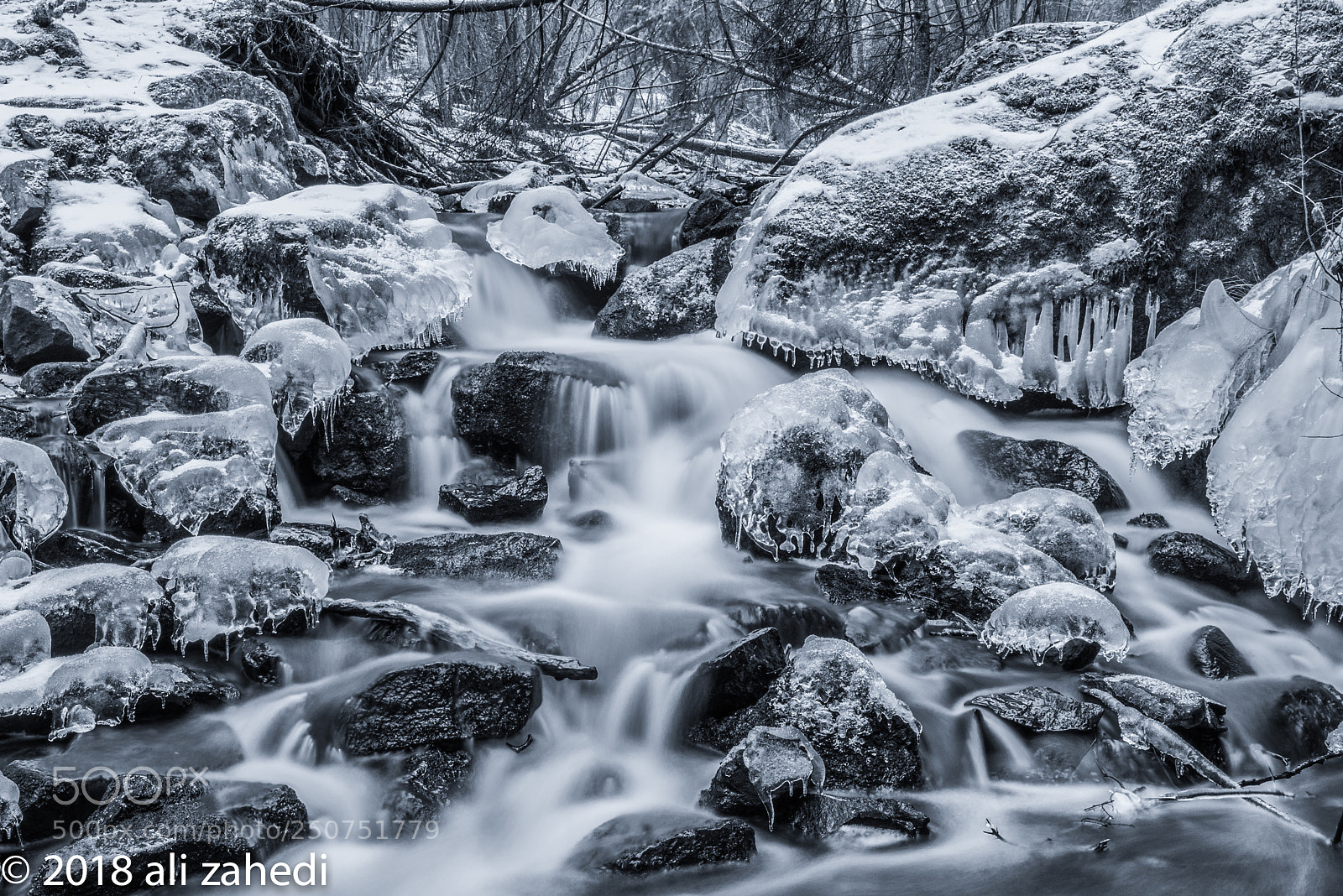 Nikon D810 sample photo. W: b&w photography