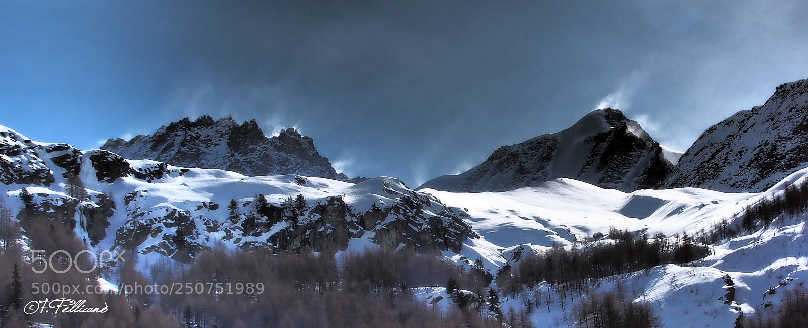 Olympus OM-D E-M1 sample photo. Parco gran paradiso photography