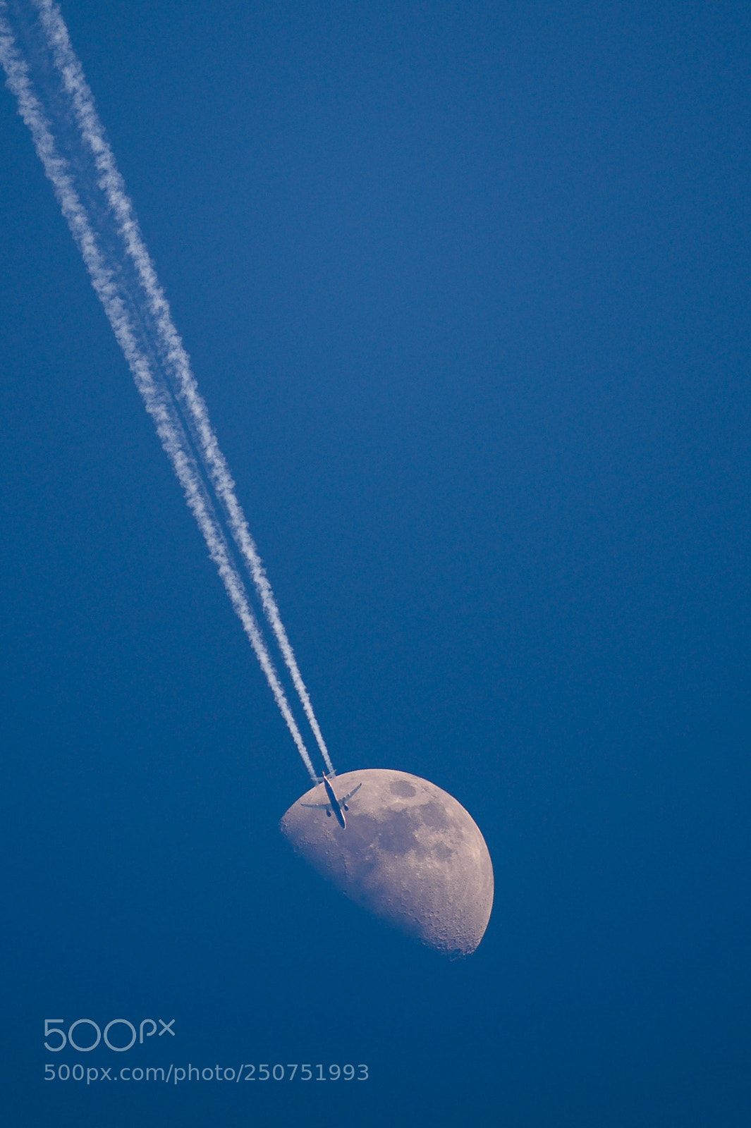Nikon D4S sample photo. Fly me to the photography