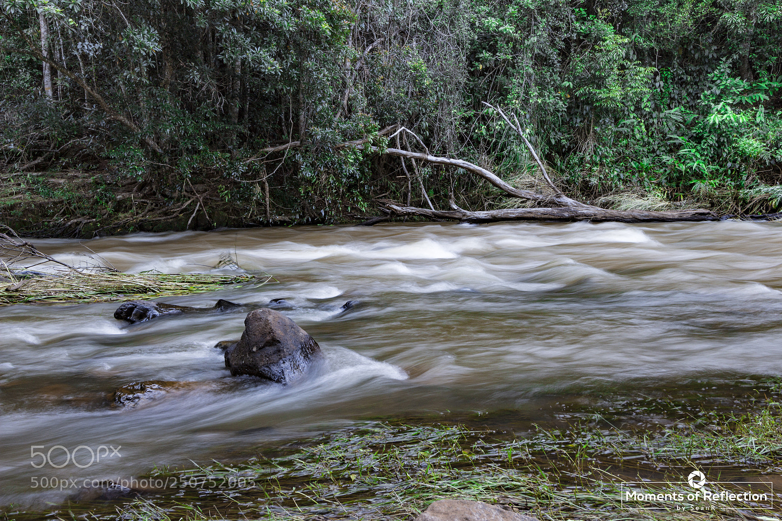 Canon EOS 700D (EOS Rebel T5i / EOS Kiss X7i) sample photo. Rainforest rapids photography