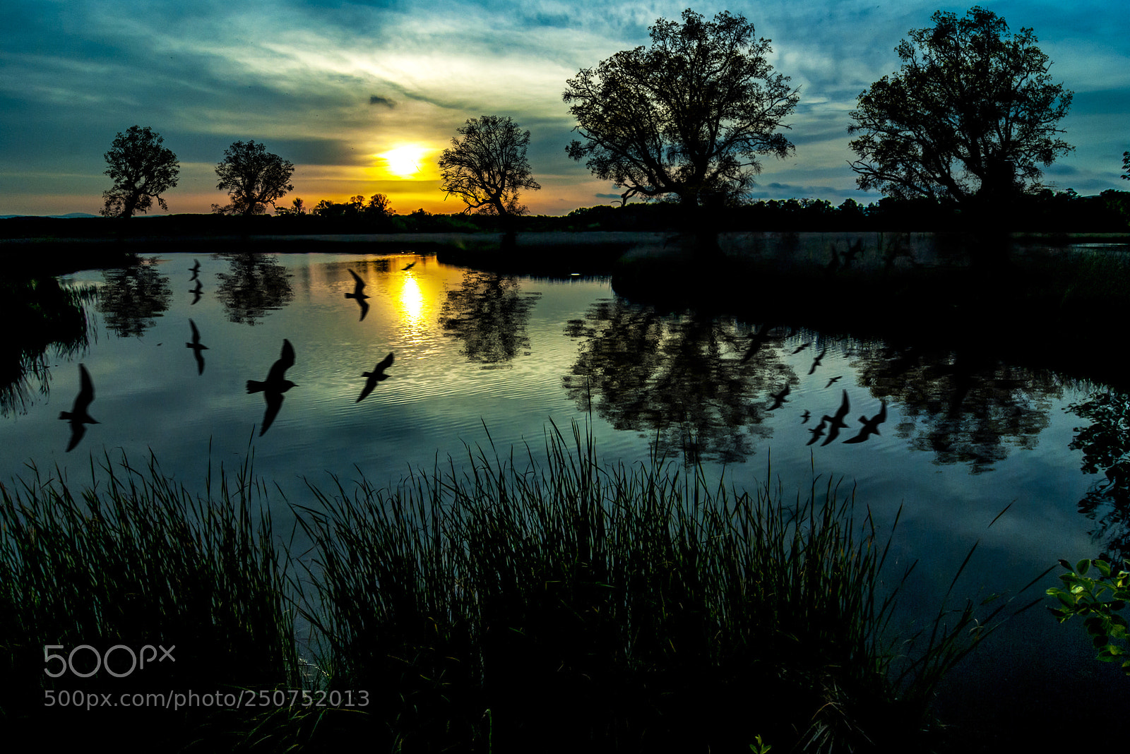 Nikon D800E sample photo. Reflection of nature photography