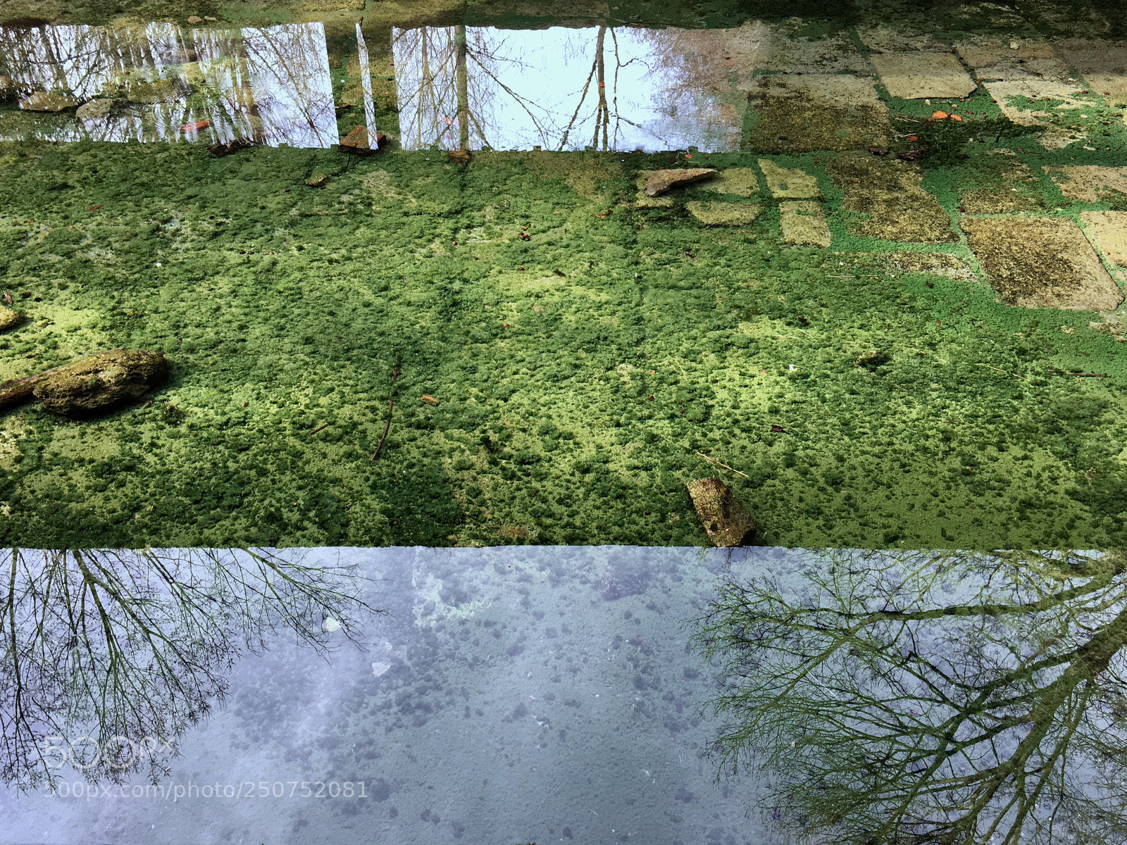 Apple iPhone 6s sample photo. Nature stripes photography