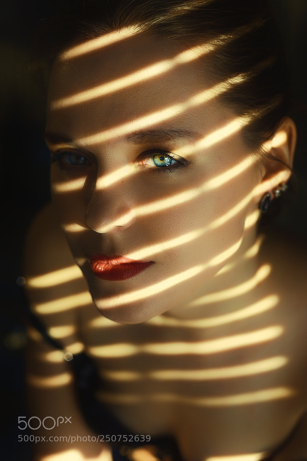 Canon EOS 5D sample photo. Sunlight photography