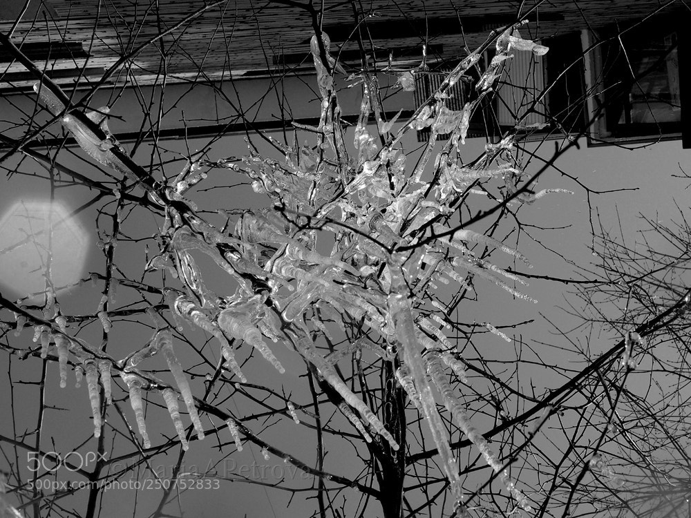 Olympus OM-D E-M5 II sample photo. Icicles photography