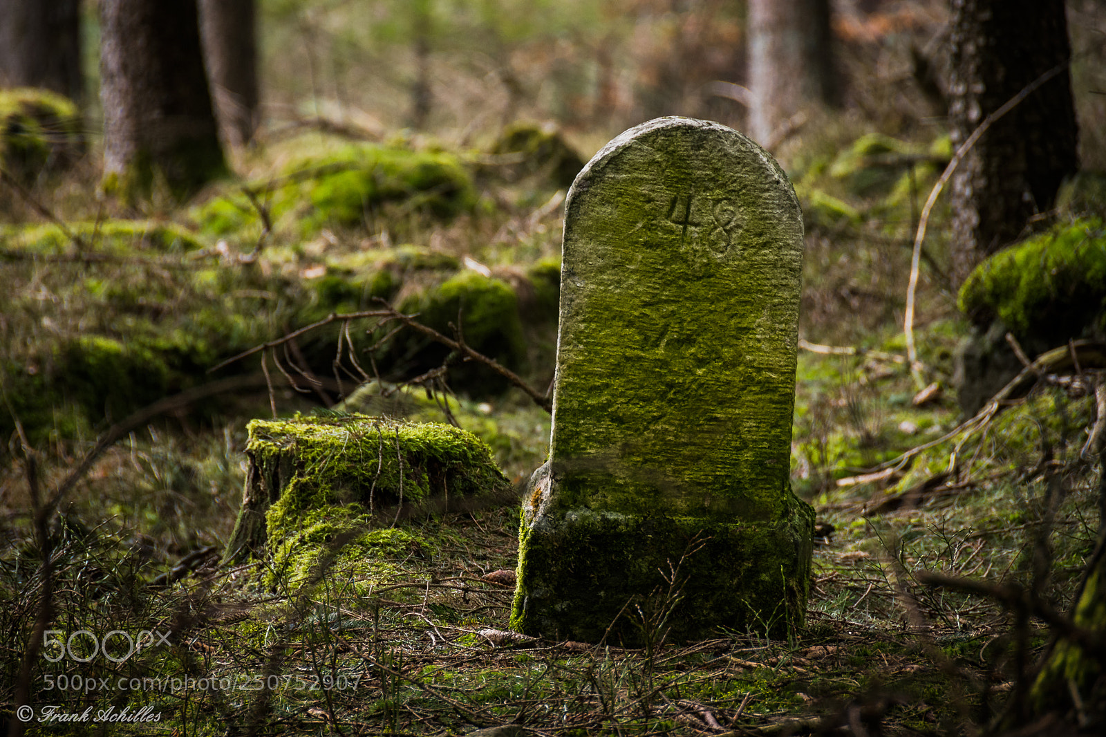 Nikon D7200 sample photo. 48.jpg photography