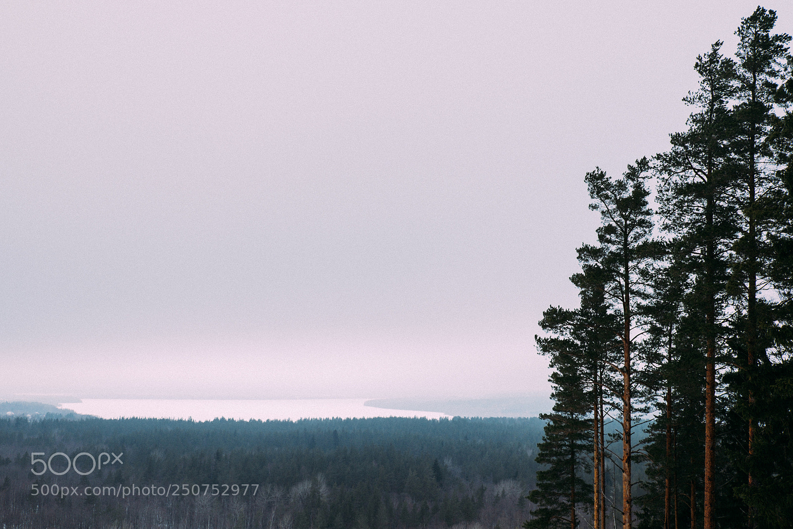 Fujifilm X-T1 sample photo. Karelian isthmus photography
