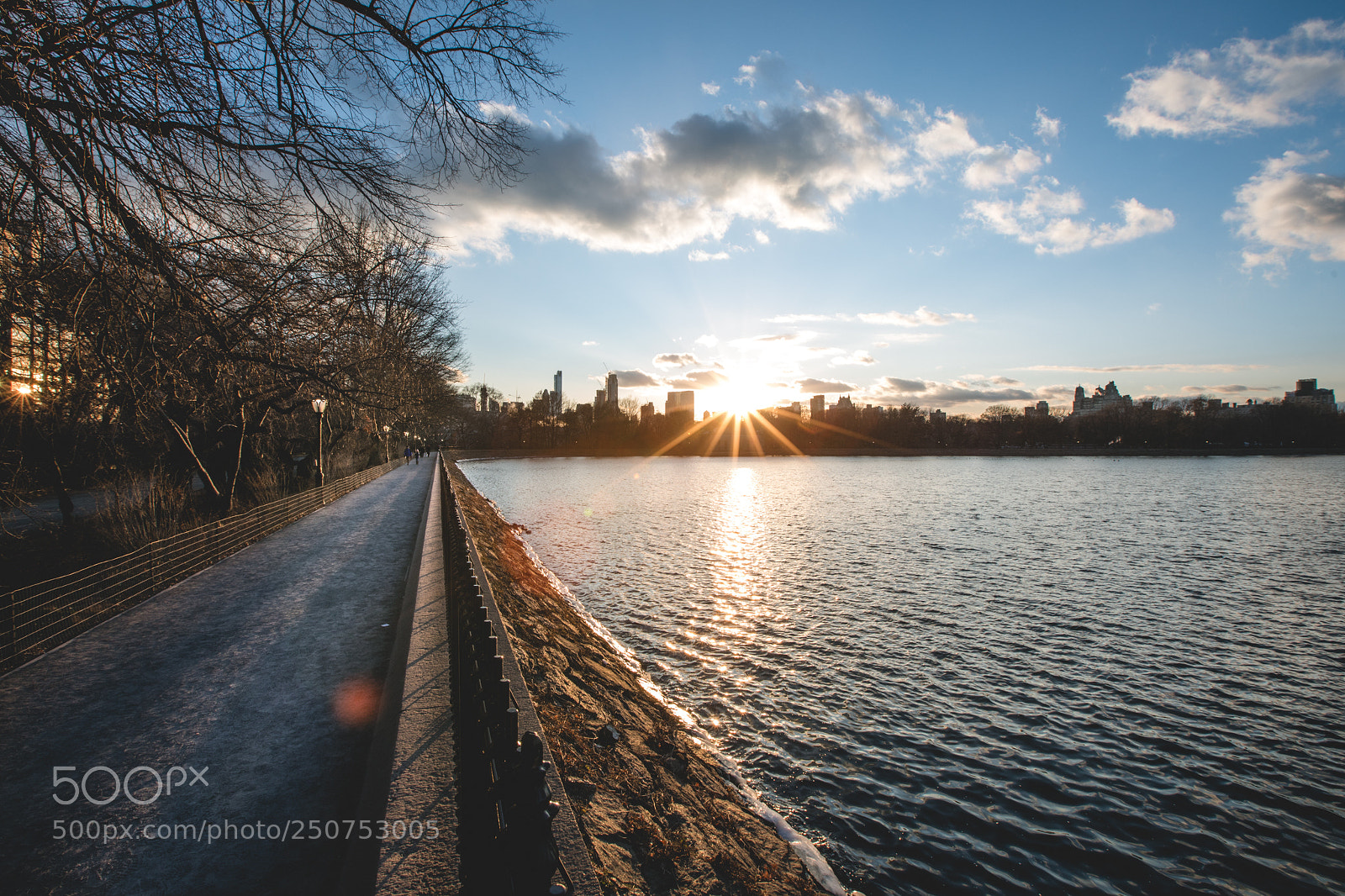 Canon EOS 5D Mark IV sample photo. Winter in central park photography