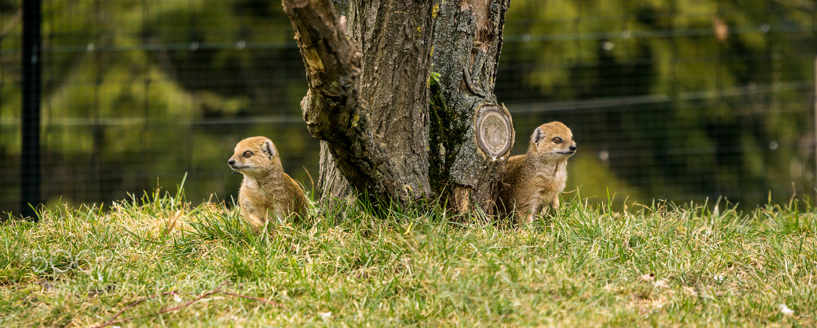 Sony a6000 sample photo. Zu besuch bei den photography