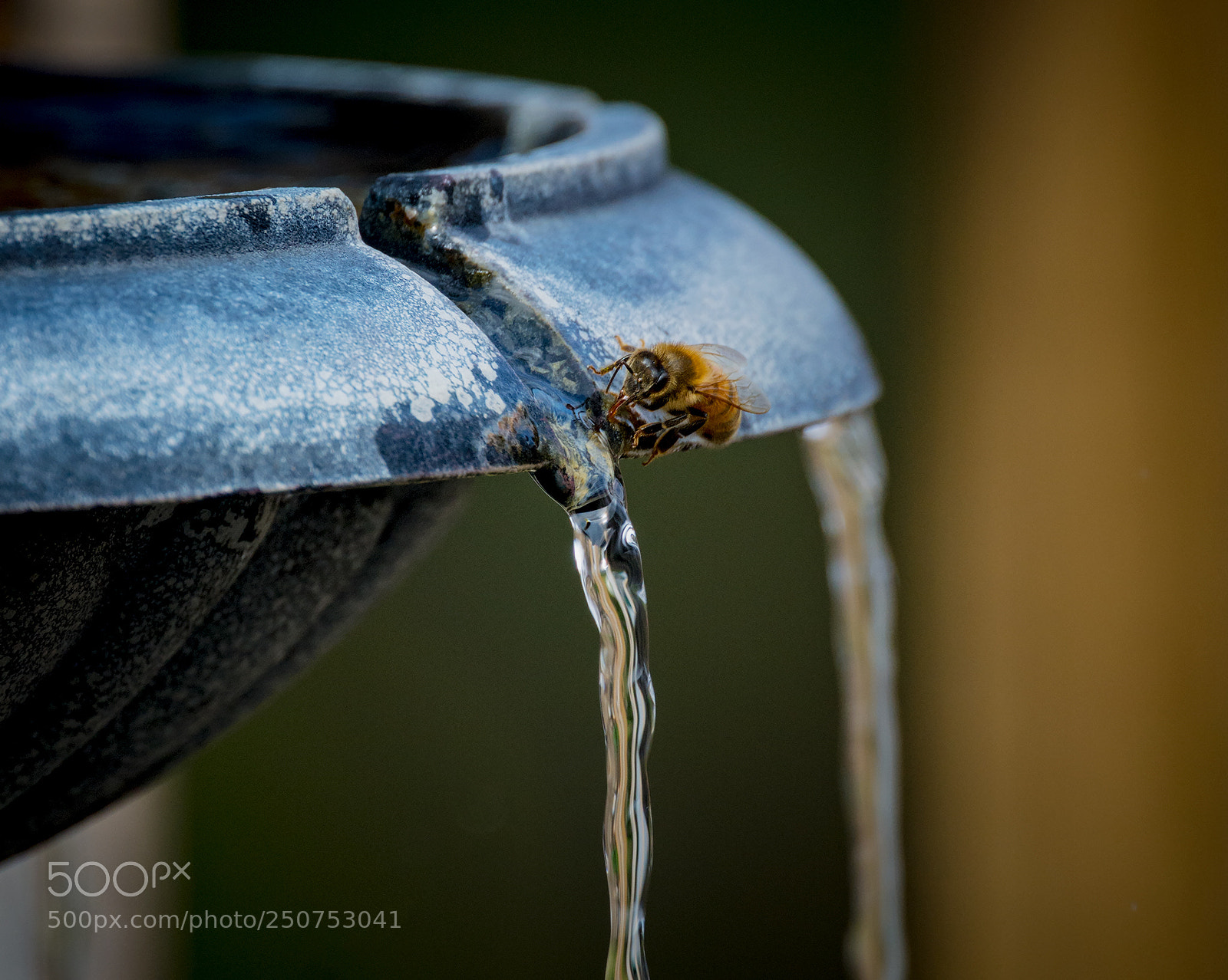 Nikon D7100 sample photo. A dangerous drink photography