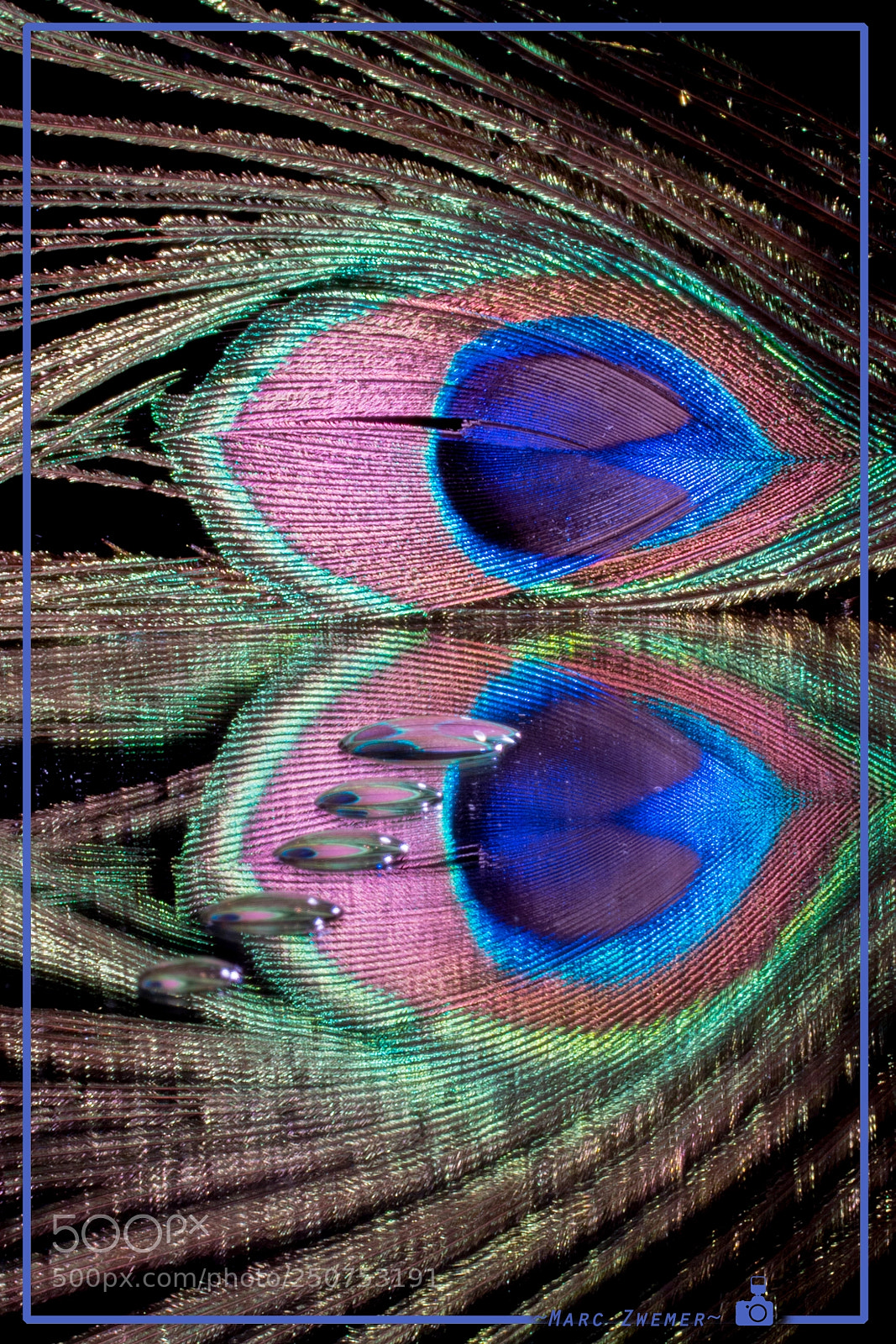 Sony ILCA-77M2 sample photo. Lost colors of the photography