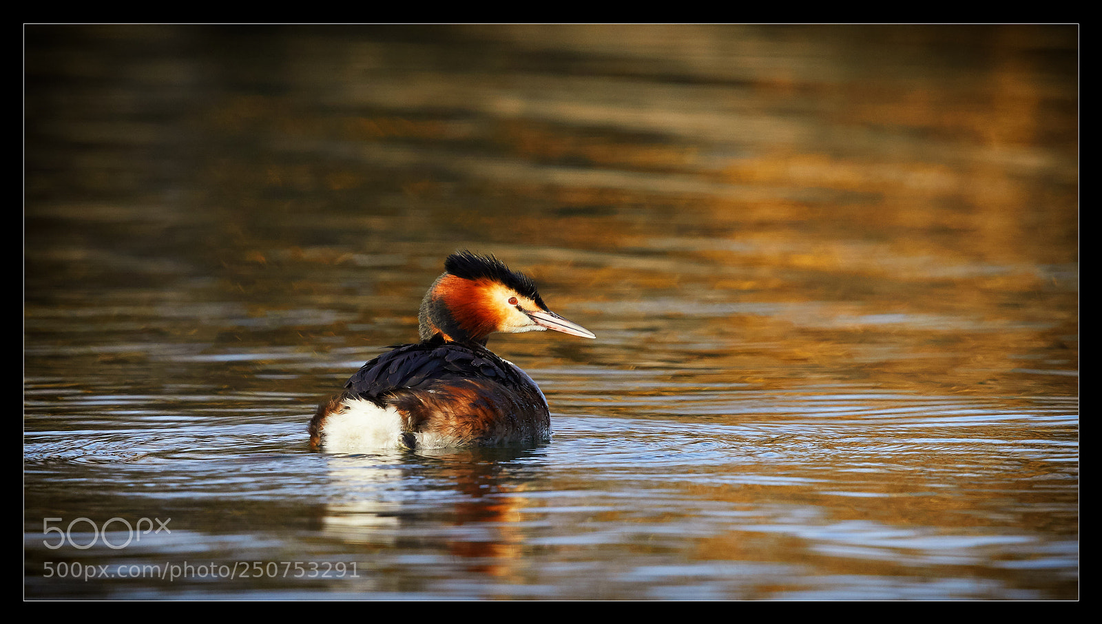 Canon EOS 5D Mark IV sample photo. Gr be dans les photography