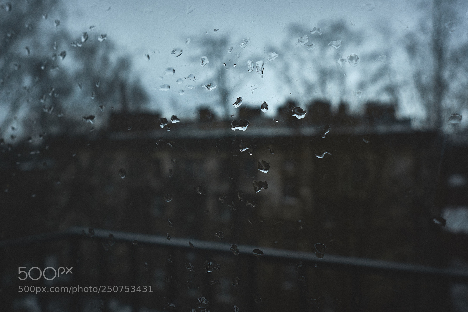 Fujifilm X-T10 sample photo. Saint-petersburg spring... photography