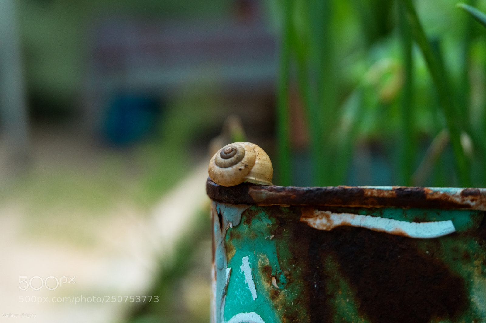 Sony a6300 sample photo. Natureza photography