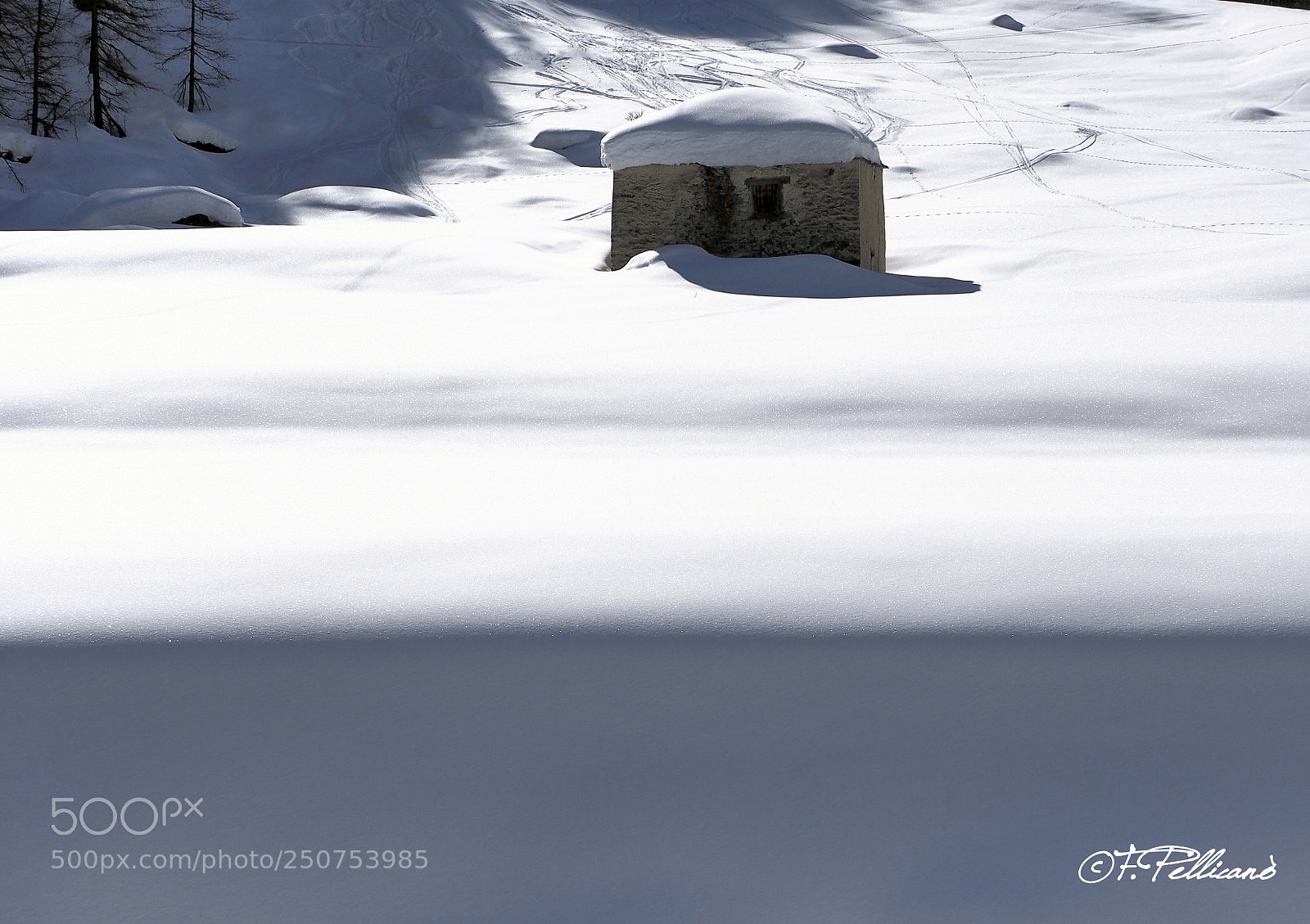 Olympus OM-D E-M1 sample photo. Parco gran paradiso photography