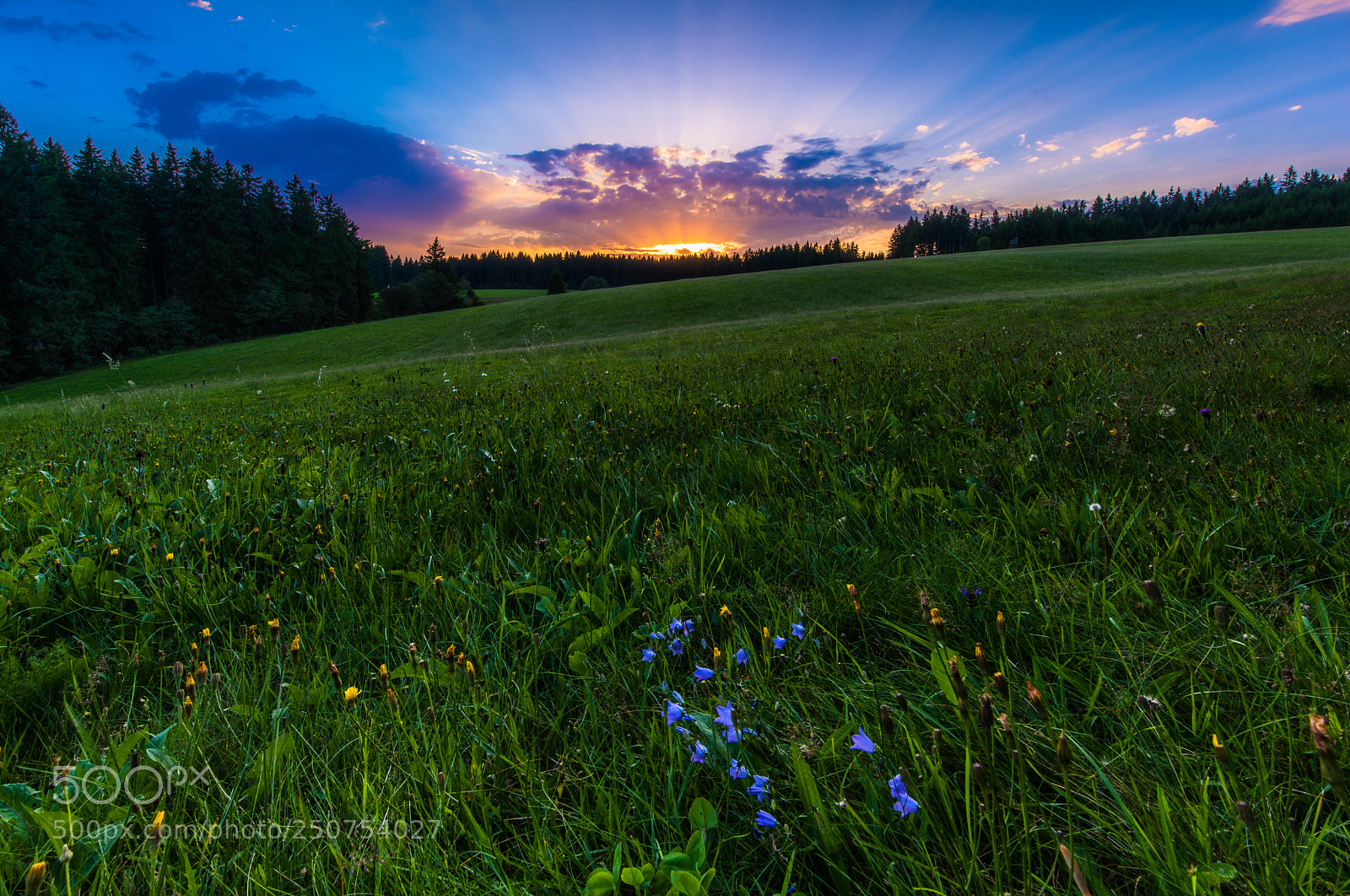 Nikon D810 sample photo. Sonnenuntergang photography