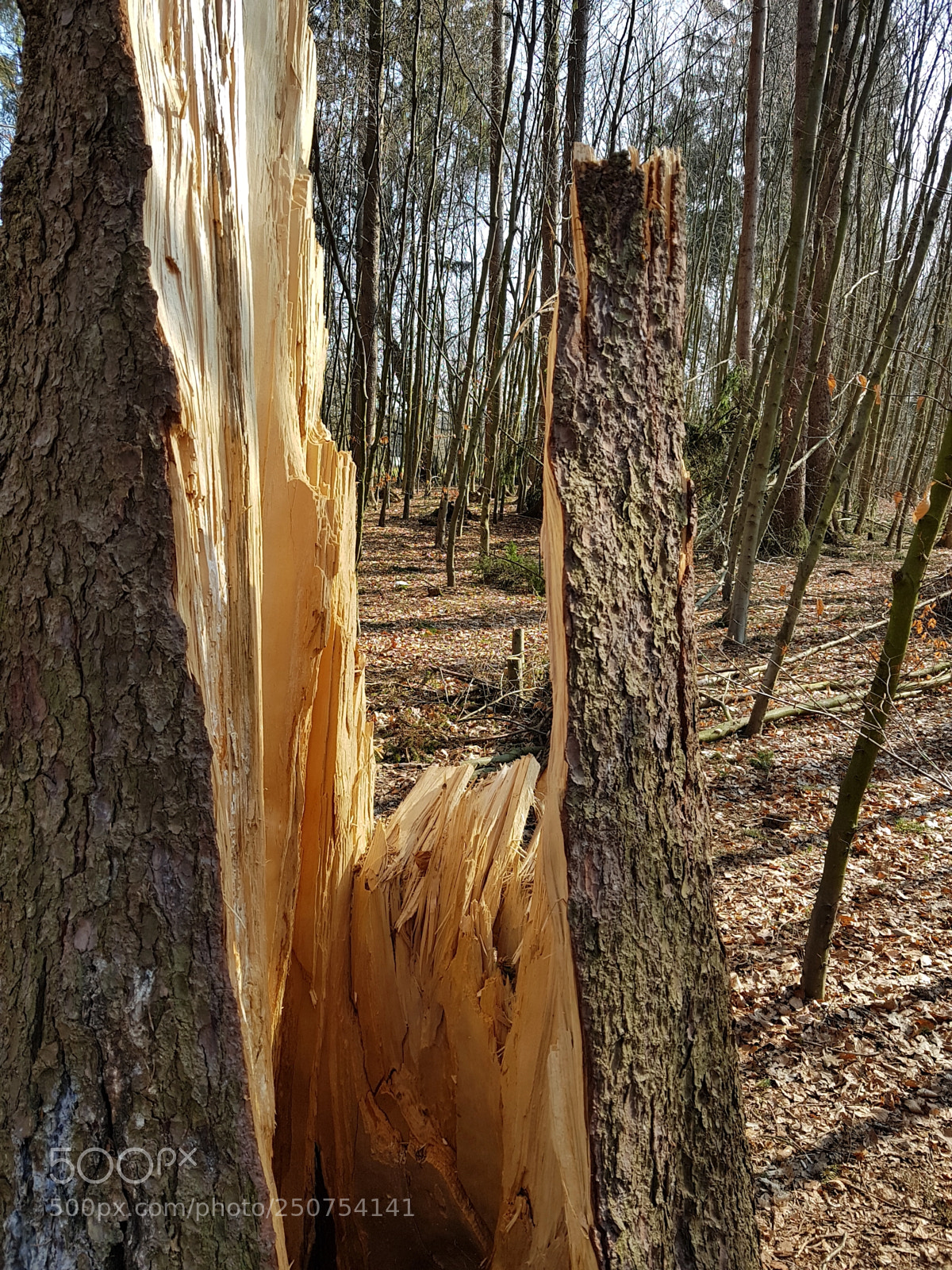Samsung Galaxy S8+ sample photo. Broken wind photography