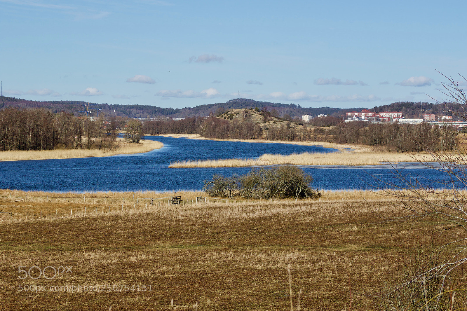Canon EOS 7D Mark II sample photo. Ma photography
