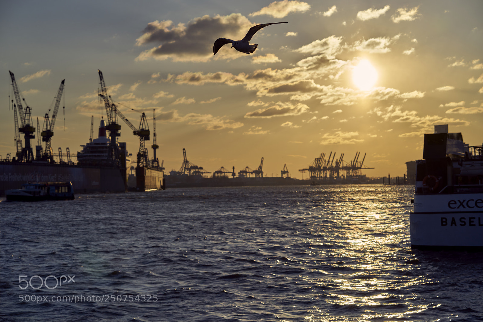 Sony a7R II sample photo. Hamburg hafen photography