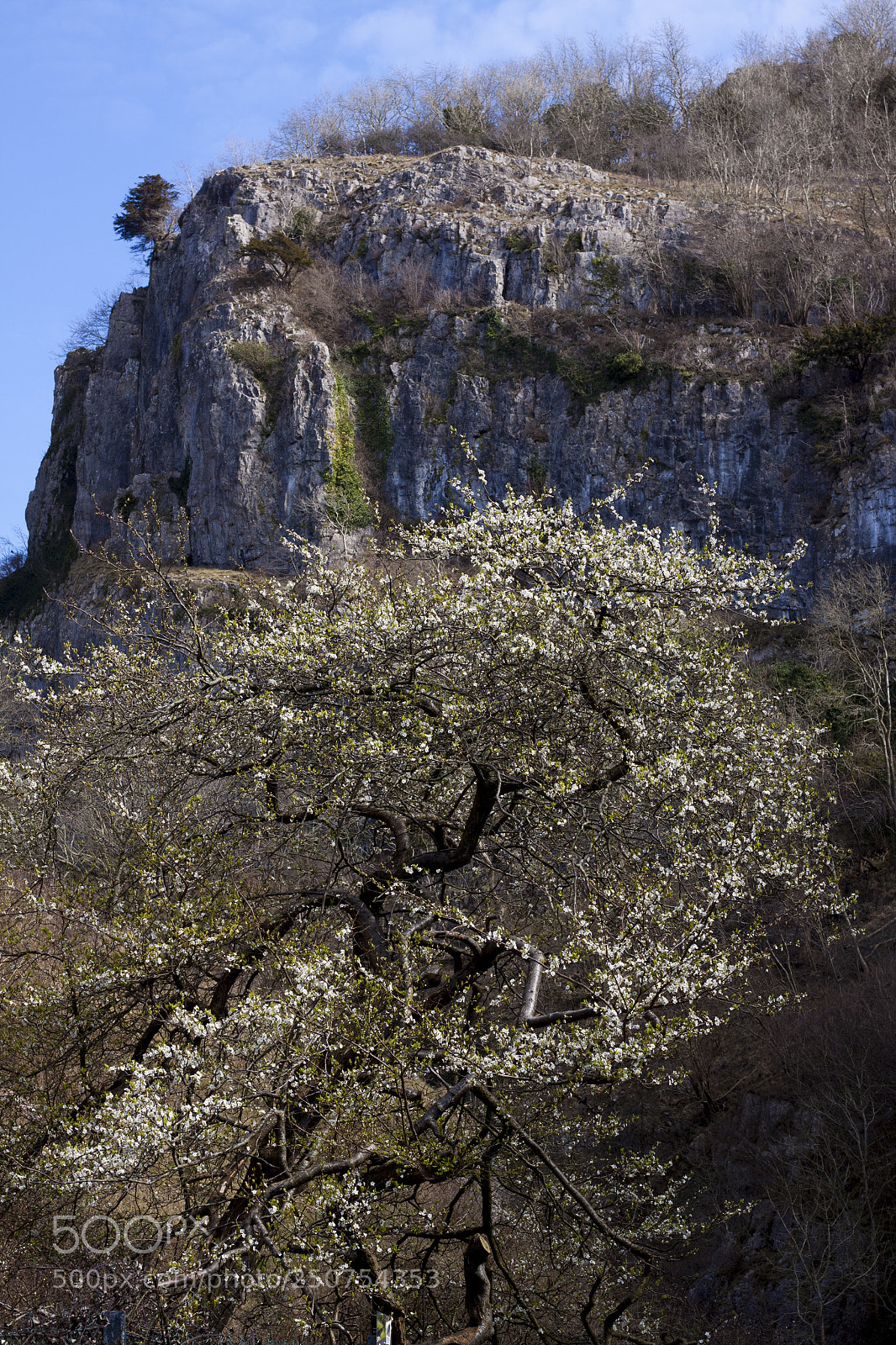 Canon EOS 50D sample photo. Cheddar gorge 1 photography