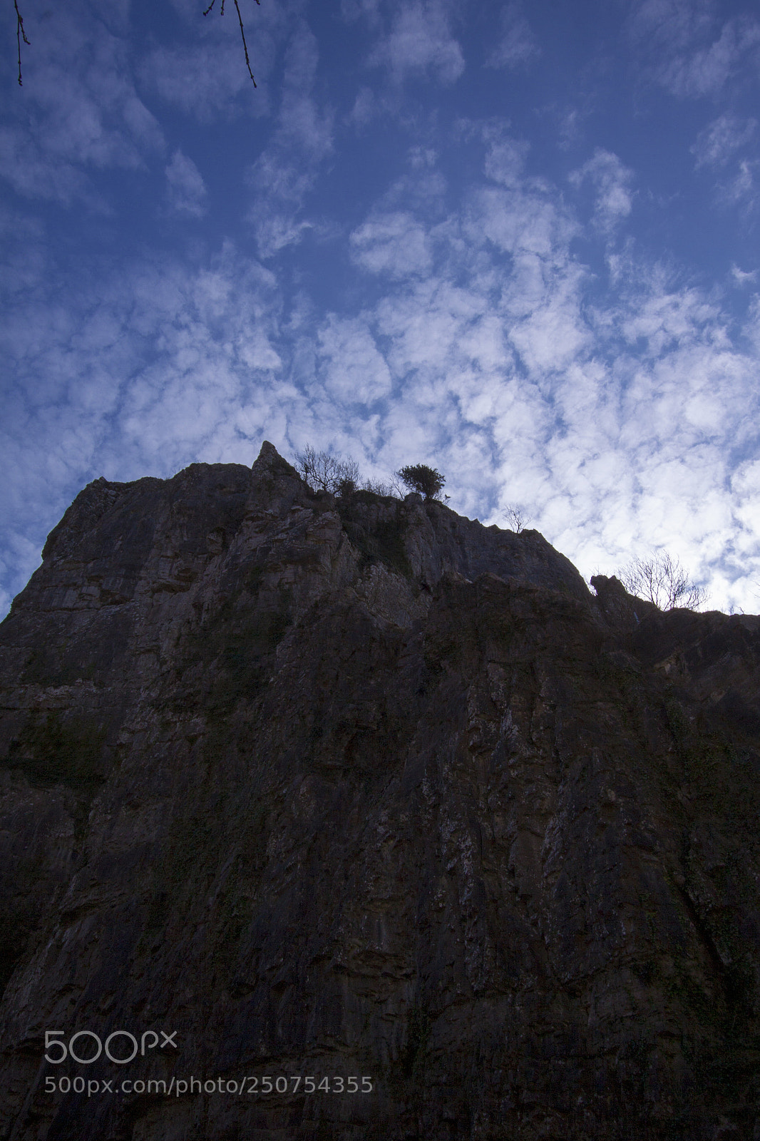 Canon EOS 50D sample photo. Cg 2 photography