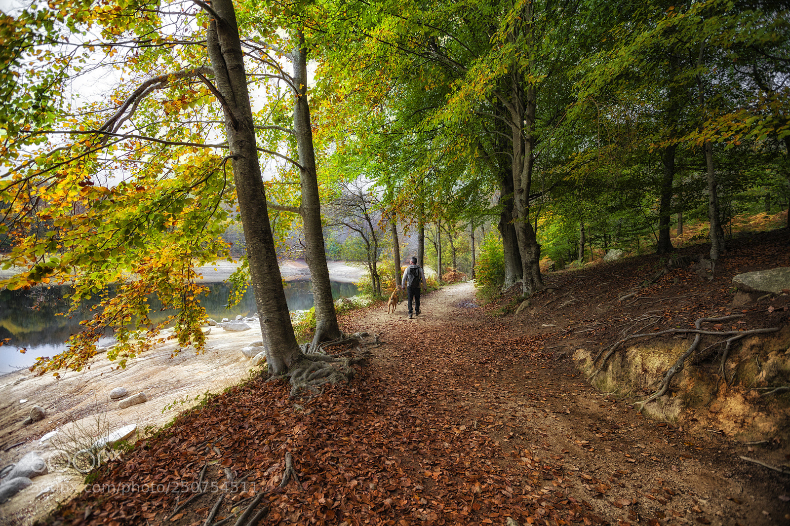 Canon EOS 5D Mark II sample photo. Montseny photography