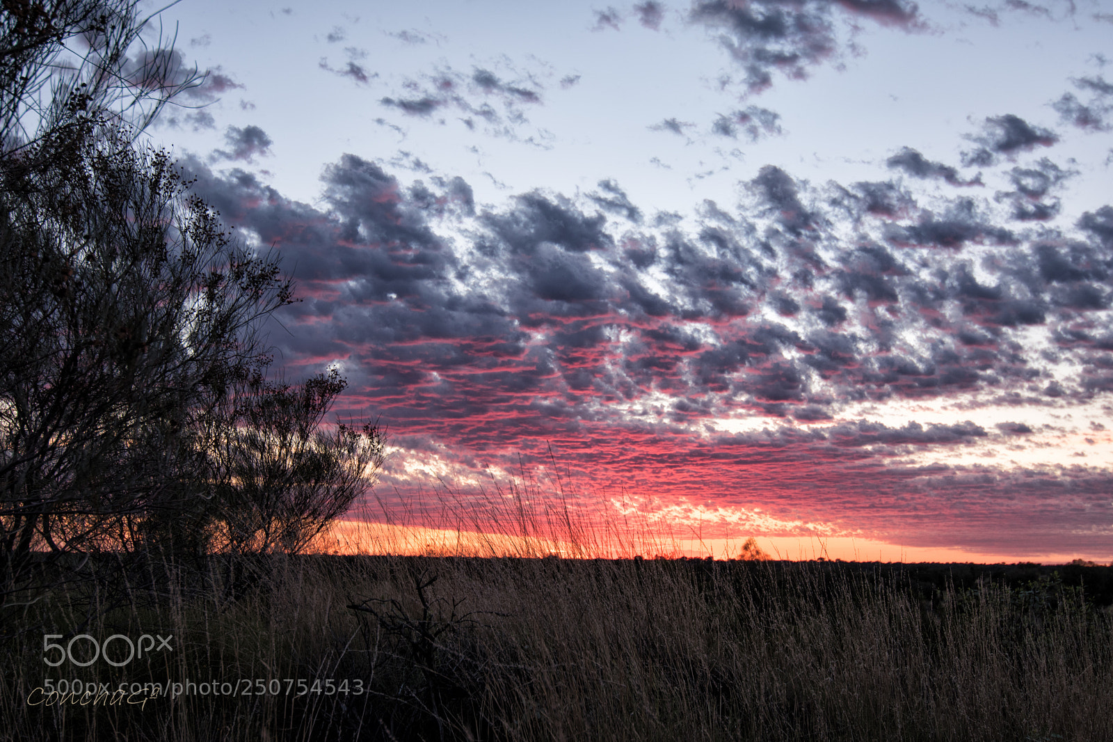 Nikon D5500 sample photo. Sunset in ayers rock photography