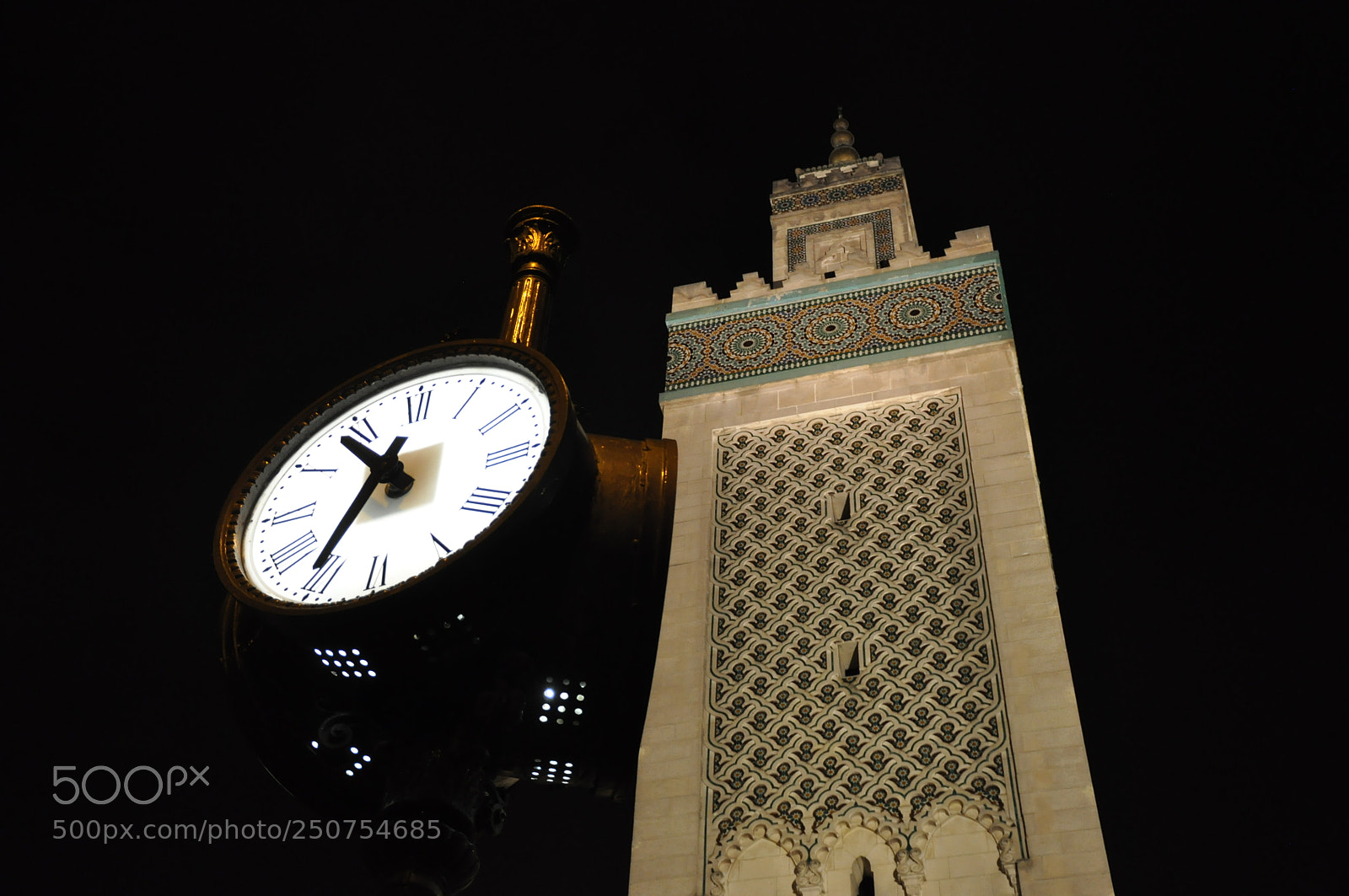 Nikon D90 sample photo. Mosquée de paris photography