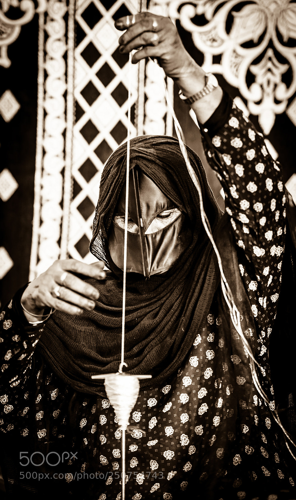 Nikon D4 sample photo. From oman photography