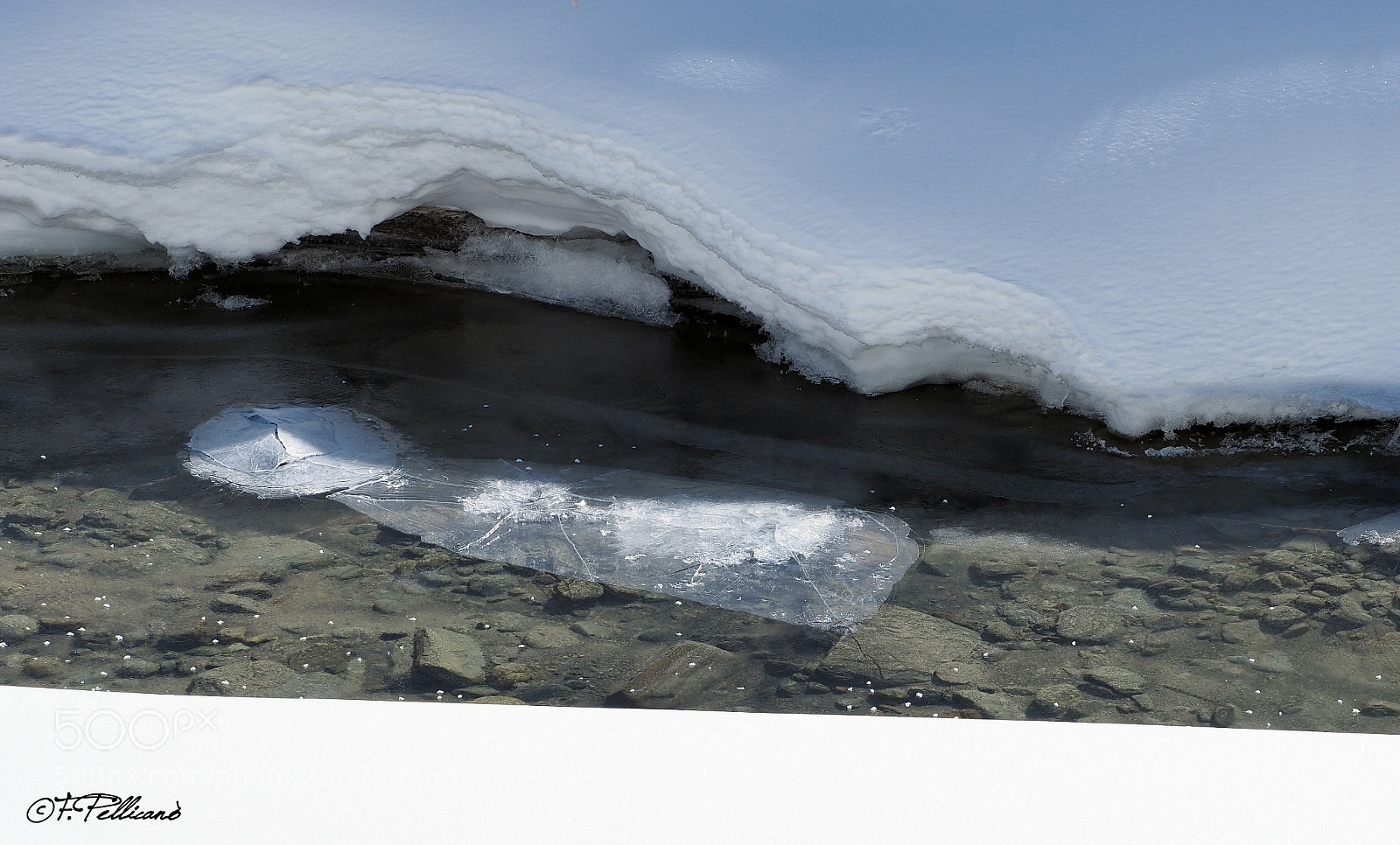 Olympus OM-D E-M1 sample photo. Parco gran paradiso photography