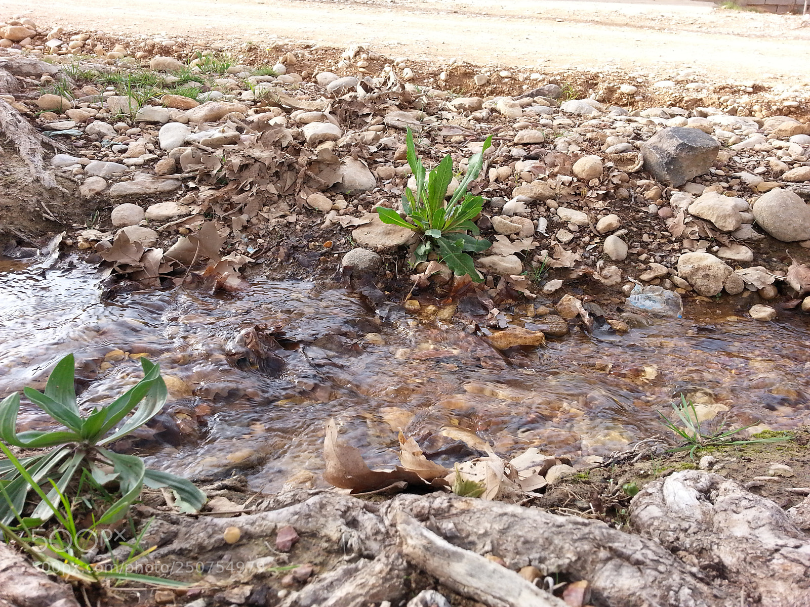 Samsung Galaxy S3 sample photo. 20150330_171151.jpg photography