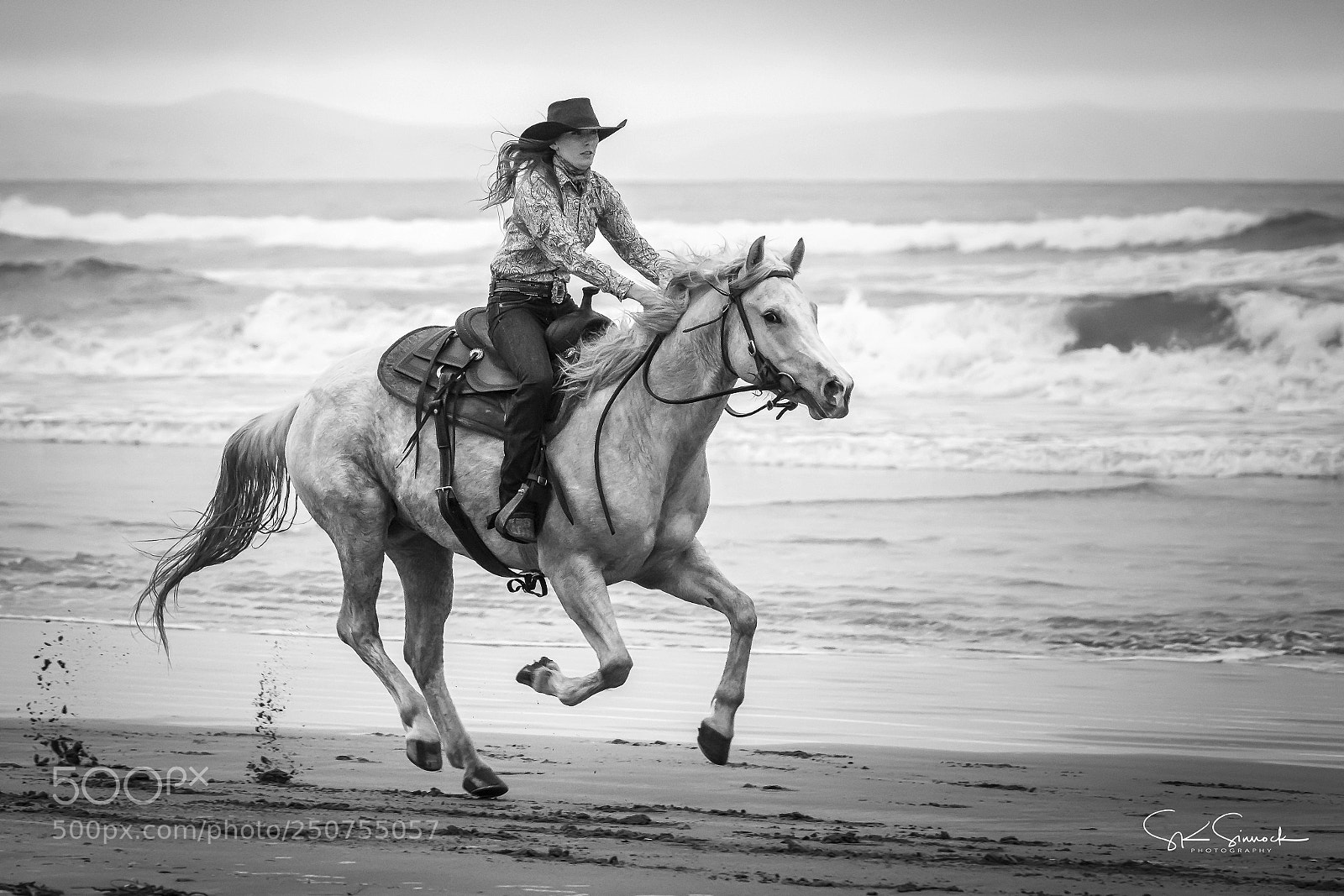 Nikon D850 sample photo. Morro bay photography