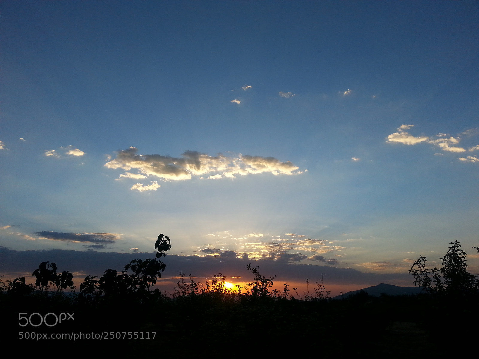 Samsung Galaxy S3 sample photo. 20150730_194350.jpg photography