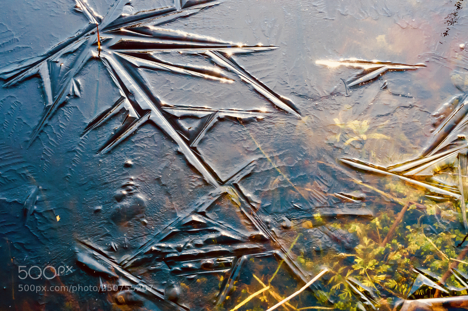 Sony Alpha NEX-5N sample photo. Ice photography