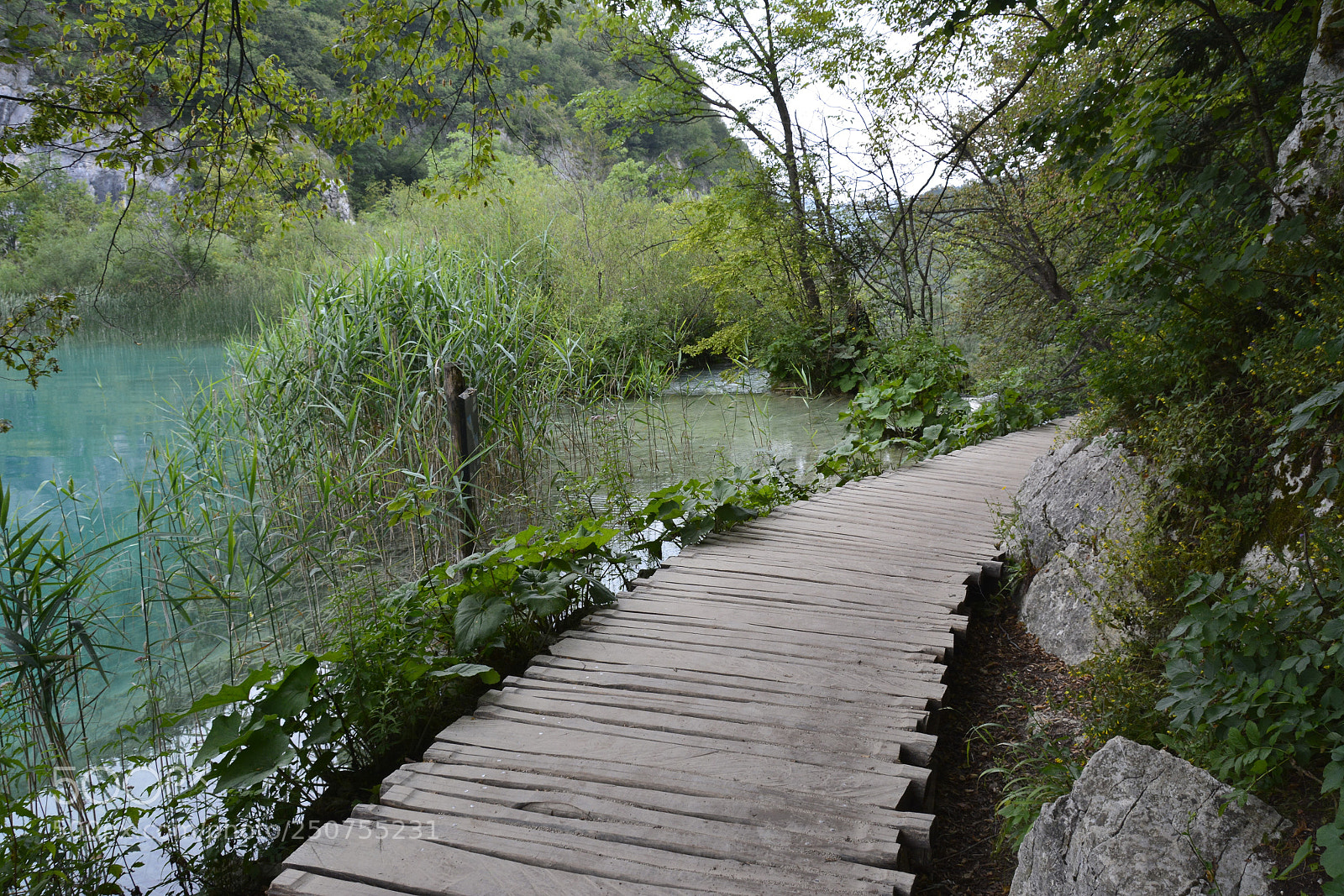Nikon D7100 sample photo. Plitvice national park croatia photography
