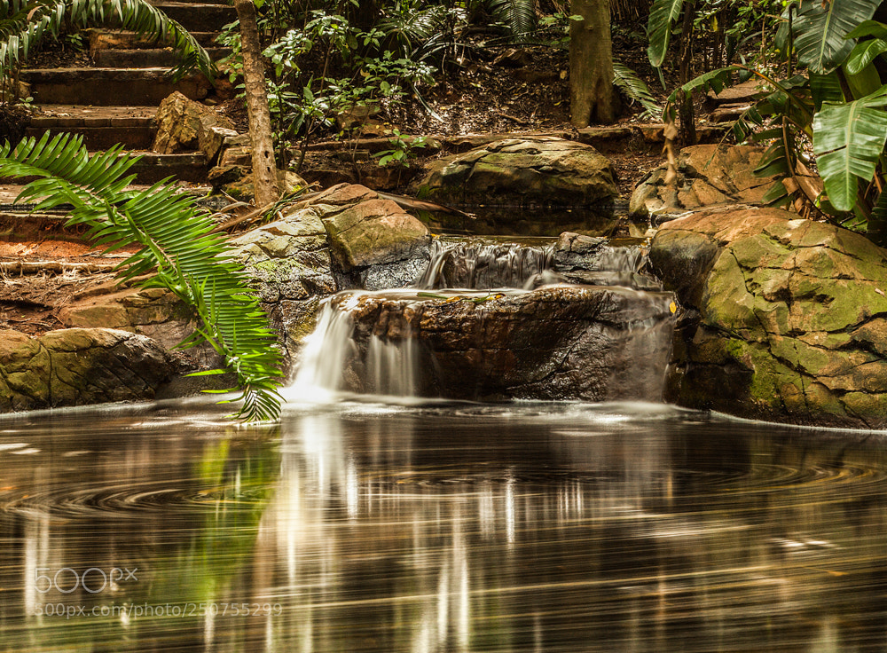 Canon EOS 5D Mark II sample photo. Vortex photography