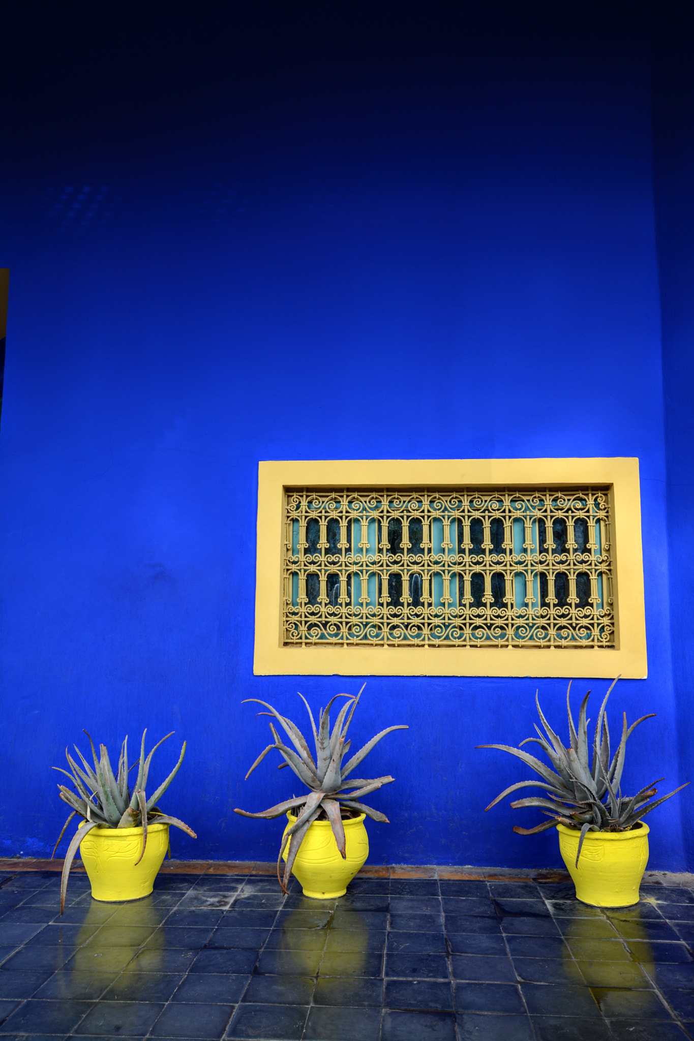 Nikon D7100 + Sigma 10-20mm F4-5.6 EX DC HSM sample photo. Window, majorelle garden photography