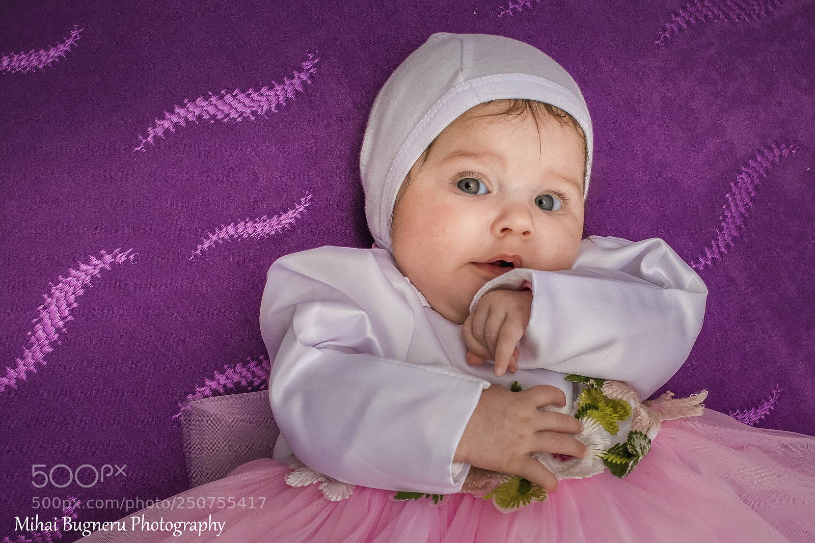 Nikon D5200 sample photo. 4.jpg photography