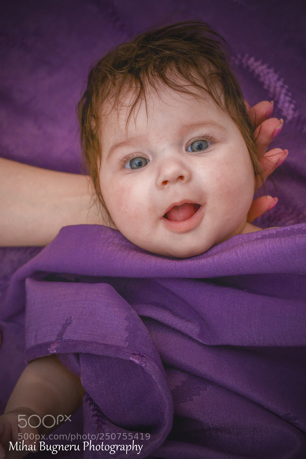 Nikon D5200 sample photo. 6.jpg photography