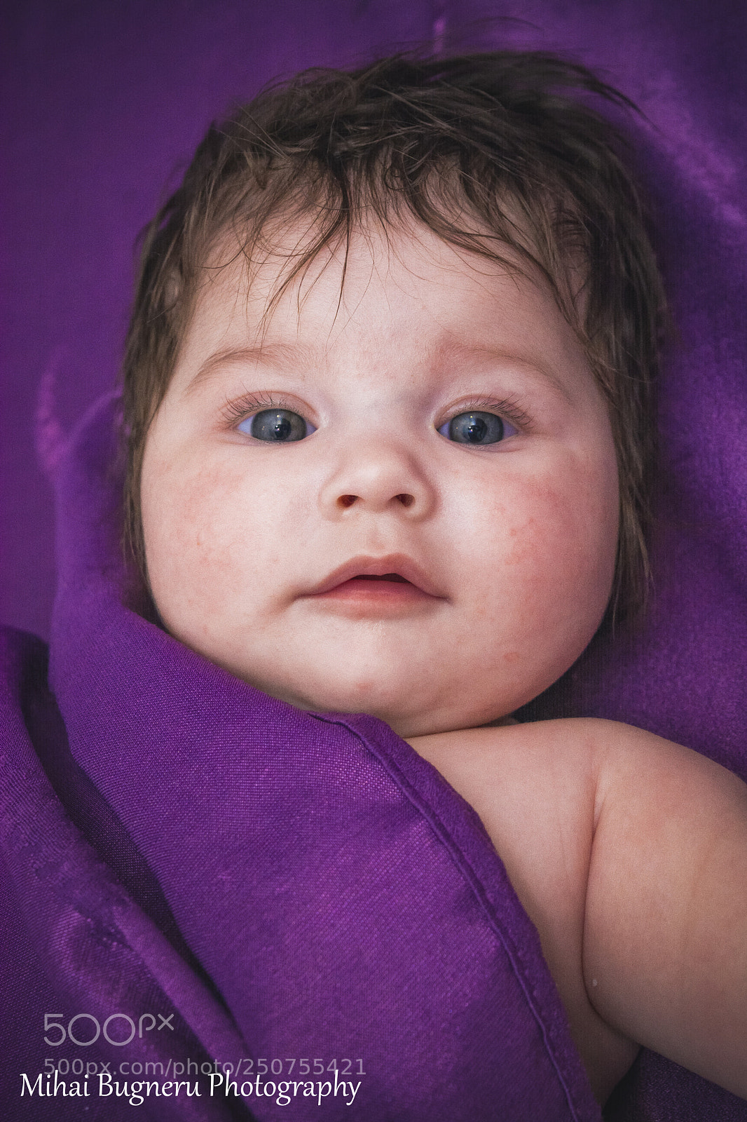Nikon D5200 sample photo. 5.jpg photography