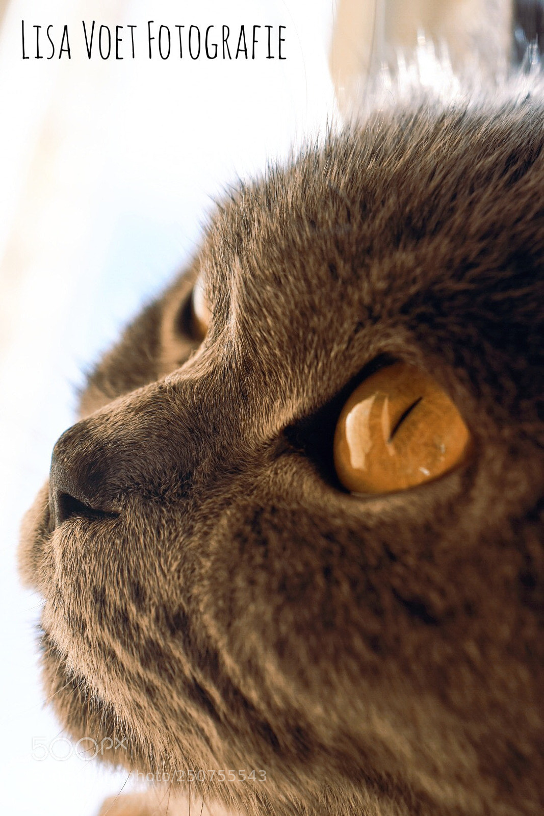 Nikon D7200 sample photo. My man, my world photography