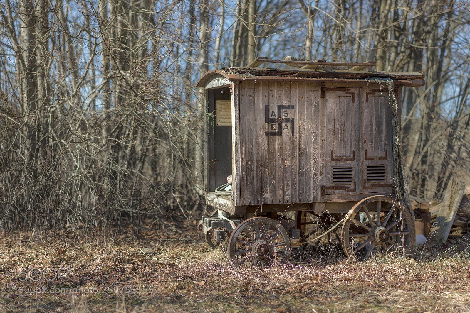 Nikon D800 sample photo. Before 1933 photography