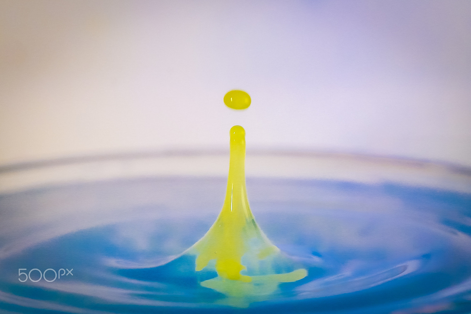 Samsung NX1100 sample photo. Yellow drop photography