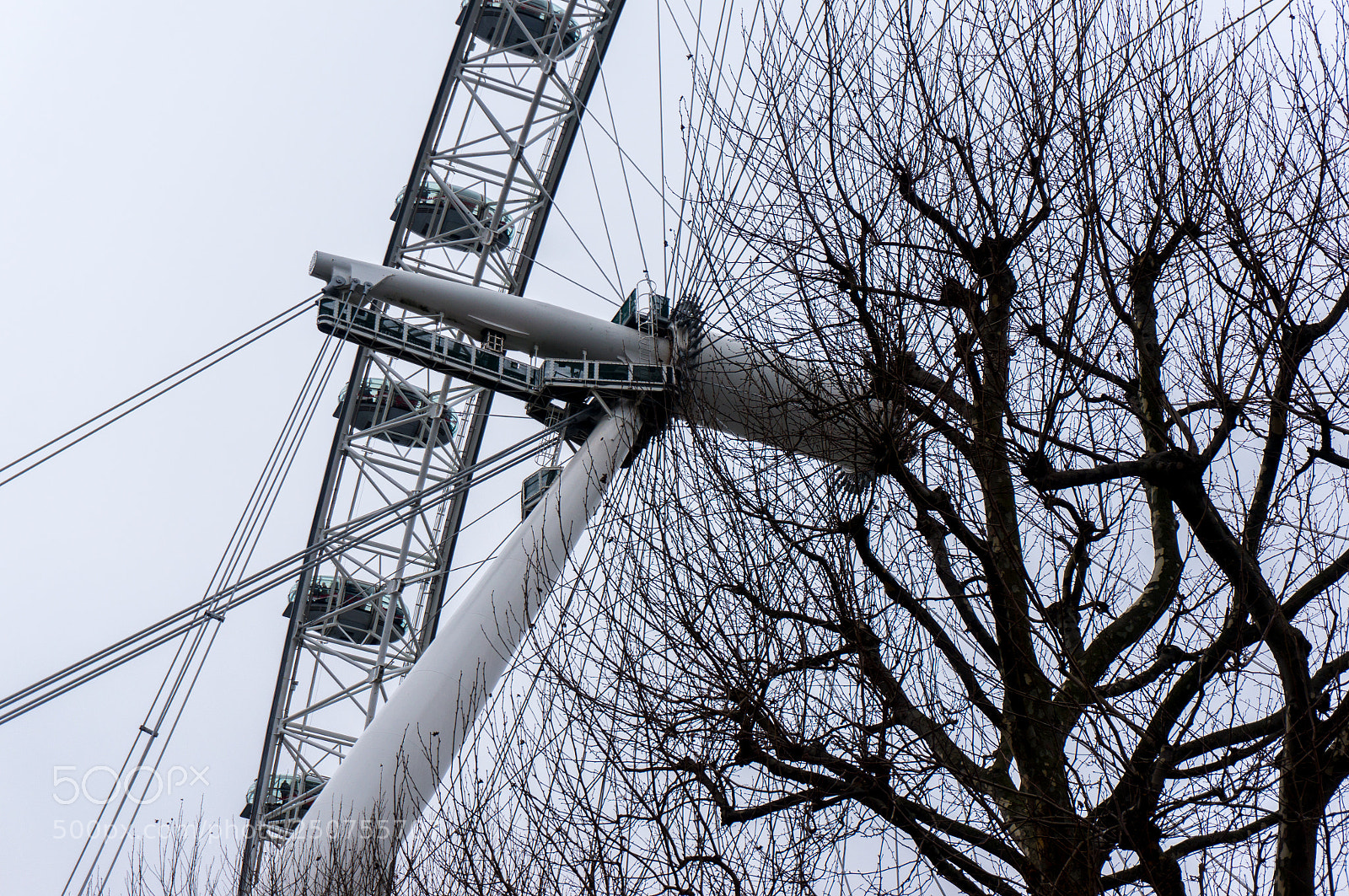 Sony Alpha NEX-6 sample photo. Autumn in london photography