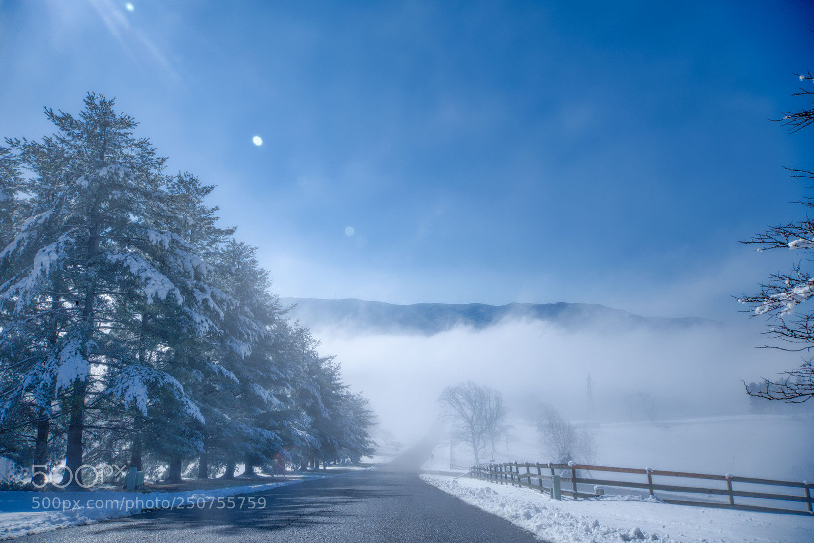 Nikon D600 sample photo. Spring snow photography
