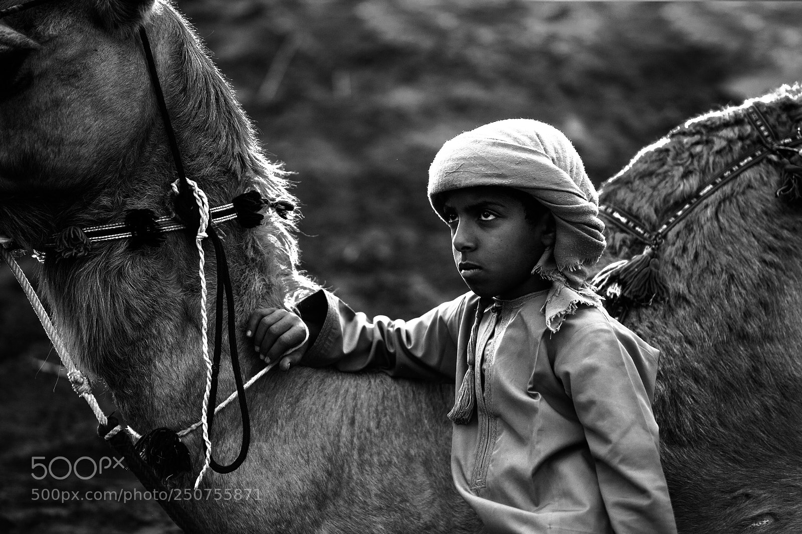Nikon D4 sample photo. Oman faces photography